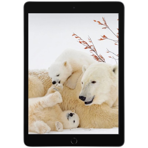 تبلت اپل iPad 9th 2021 wifi 10.2 Inch | حافظه 64 گیگابایت ا Apple ipad 9th 2021 wifi 10.2 Inch 64 GB